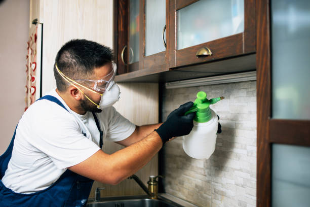 Clearlake Oaks, CA Pest Control Company