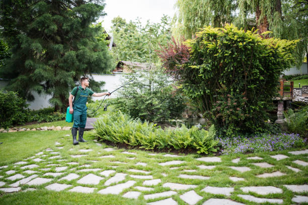 Best Spider Control Near Me  in Clearlake Oaks, CA