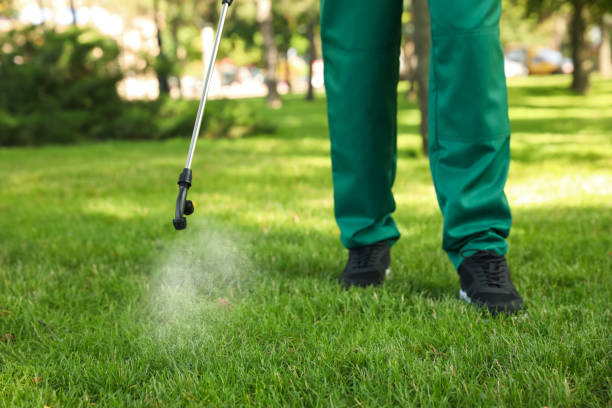 Best Rodent Control Near Me  in Clearlake Oaks, CA