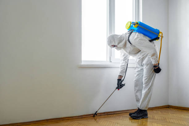 Best Bed Bug Extermination  in Clearlake Oaks, CA