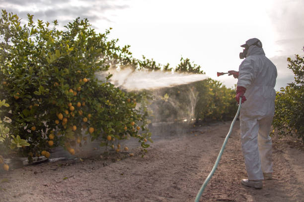 Best Exterminator Services  in Clearlake Oaks, CA