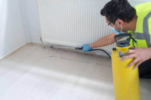 Best Pest Control for Businesses  in Clearlake Oaks, CA